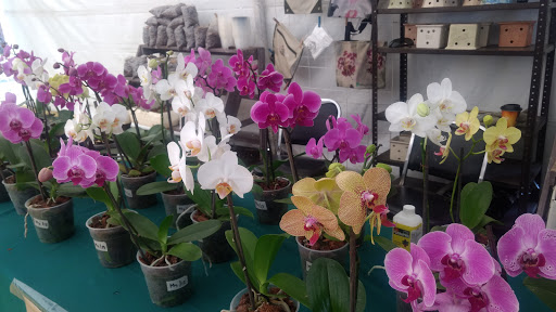 Jardin Orquidario - Thumbnail