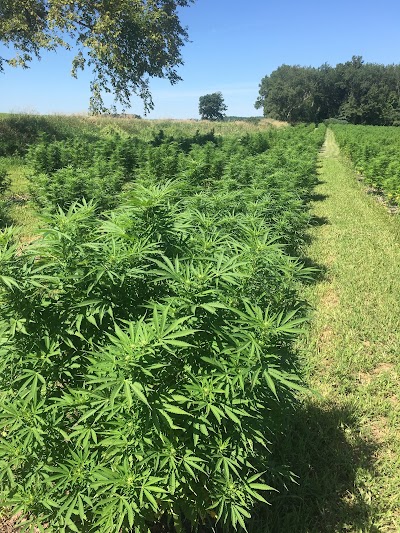 Hemp Haven Farms, LLC