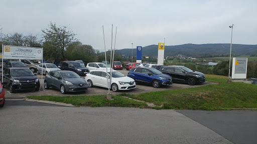 Dacia Furth im Wald Autohaus Traurig GmbH - Thumbnail