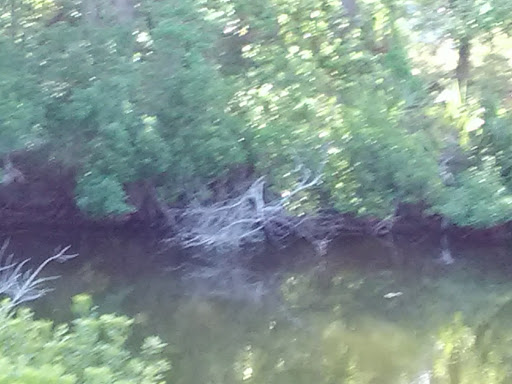 Charleston Area Visitors Center - Thumbnail