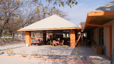 Photos of Etosha National Park