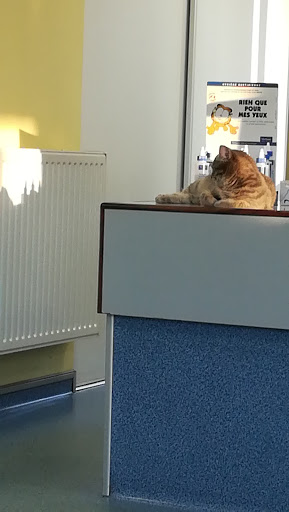 Veterinary Clinic Lonchay Soete - Thumbnail
