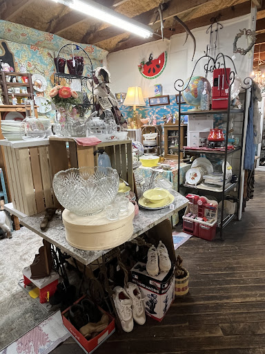 The Evergreen Possibilities Store