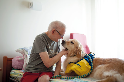 Photo de Fondation Partage et Vie - EHPAD Noël Leduc - Hasnon à Mouchin (59310)