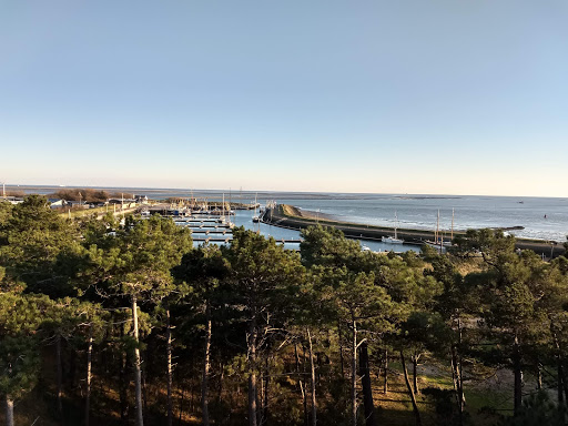 Uitkijkpunt oost Vlieland - Thumbnail