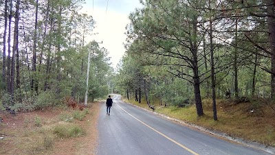 Photos of Cerro San Andr&eacute;s