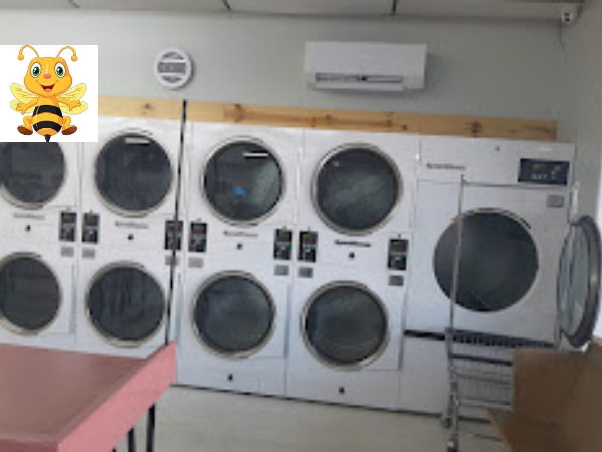 Bee Klean Laundromat LLC facility with washing machines in Indianapolis