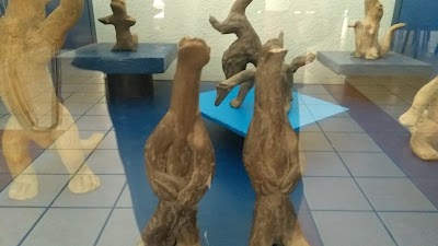Photos of Museo Waldemar Julsrud A.C.