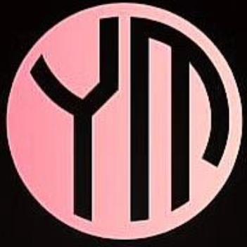 young movers - Visual