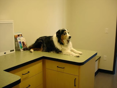 Settlers Park Veterinary Hospital