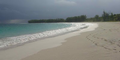 Photos of Dolphin Beach Resort