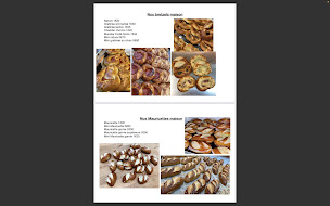 Photo n°79 de Aux Amis Du Pain - Boulangerie Erstein à Erstein (Sandwicherie)