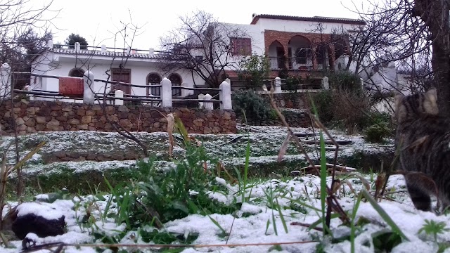 Dar Wadada