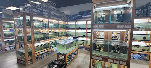 Tiny Aquatics - Visual