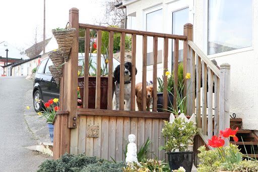 Wyldecrest Bryn Gynog Park Gallery - United Kingdom