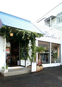 PalmsHair × ZAKKA