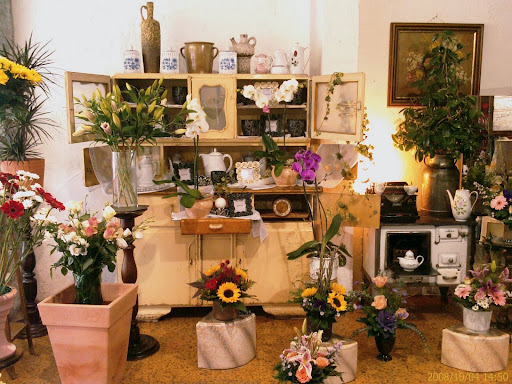 Blumen Polz - Visual