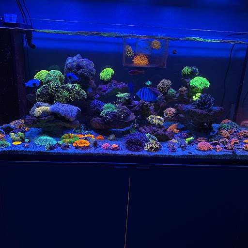TRSCAquatics.com - Thumbnail
