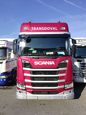 Transdoval - Visual