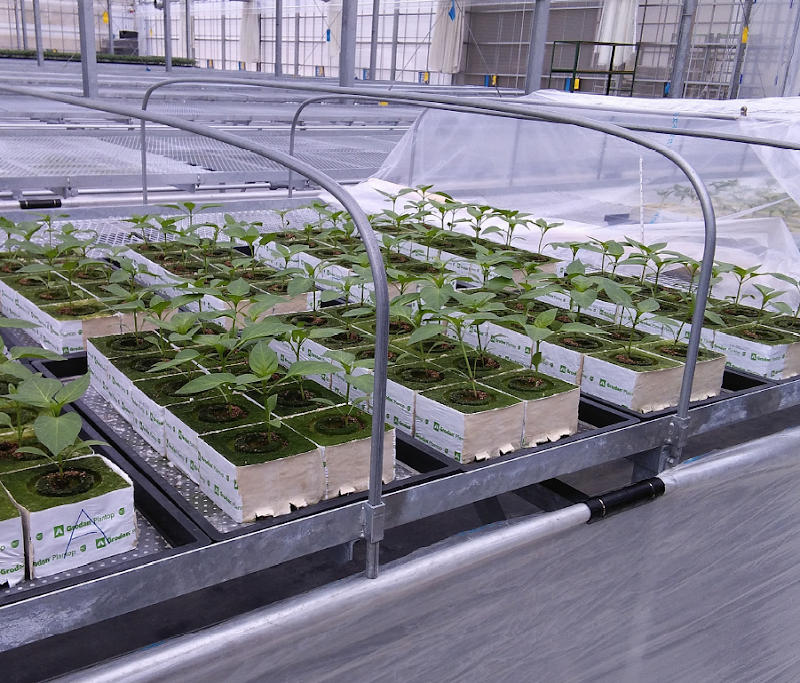 エフビットファームこうち株式会社