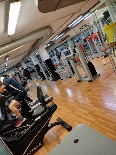 La hermandad del hierro