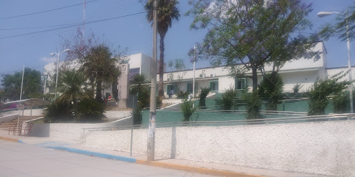 IMSS Prospera - Visual