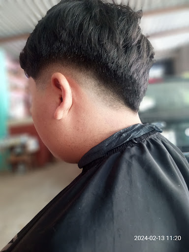 Carnotaurus Barber - Visual