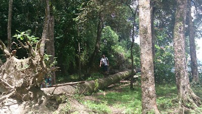 Photos of Wisata Adventure Green Canyon Body Rafting