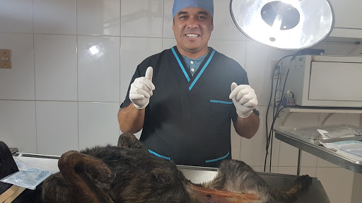 Veterinaria Doc. David Cerezoo