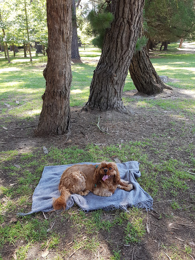 Burradoo Park - Thumbnail
