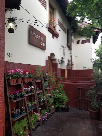 Photos of Conchita Flores B&B