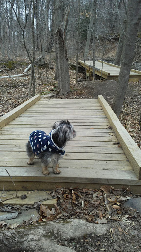 Mittineague Park - Conservation area - Thumbnail