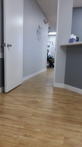 Flex Dental - Visual