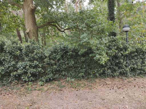 Scouting Kampeerterrein Belmont - Thumbnail