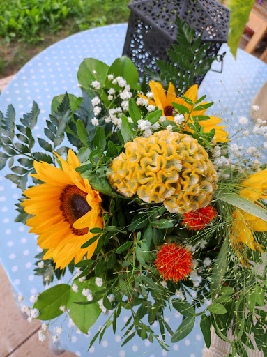 Blumen Rolf - Visual