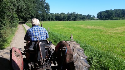 Photos of Camping De Witte Berg