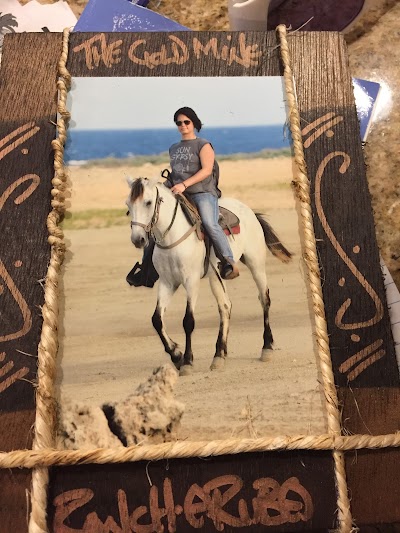 Photos of The Gold Mine Ranch Aruba