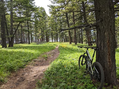 Mt Helena Ridge Trailhead