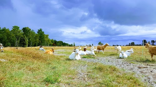 Paukščių Stebėjimo Bokštelis
