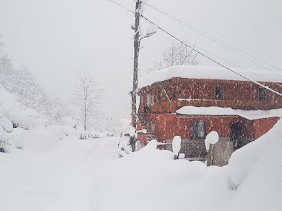 Photos of Bor&ccedil;ka Dere Pansiyon