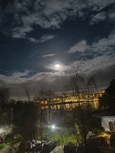 Photo de Les Nymphéas