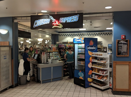 Cougar Express - Visual