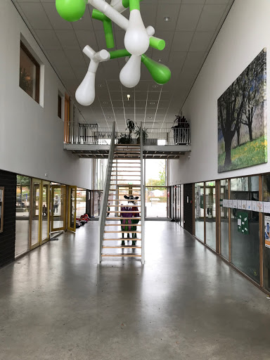 Ving Tsun Kung Fu Purmerend - Thumbnail