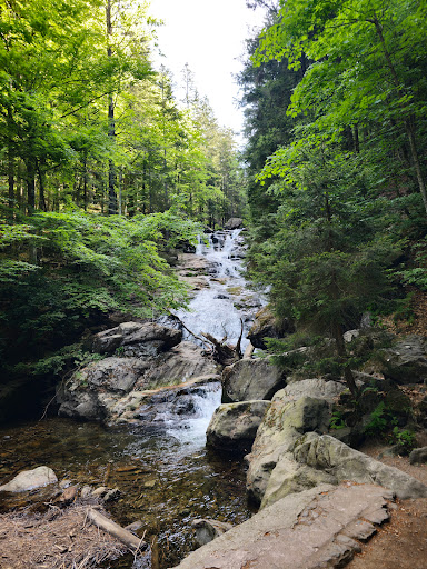 Riesloch - Visual
