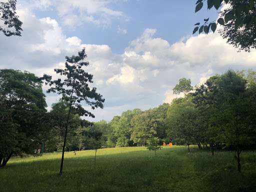 The Bower: Native Plant Landscape and Sculpture Park
