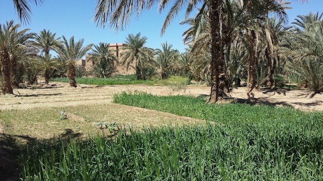 Riad Nezha