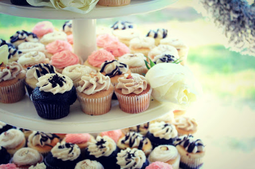 Christina Lynn Photography - Thumbnail