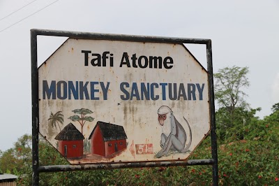 Photos of Tafi Atome Monkey Sanctuary