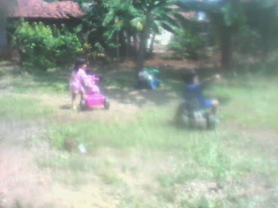 Photos of KangguruSutomo