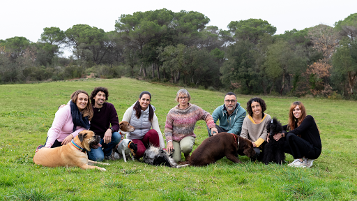 Uetus Centre Veterinari